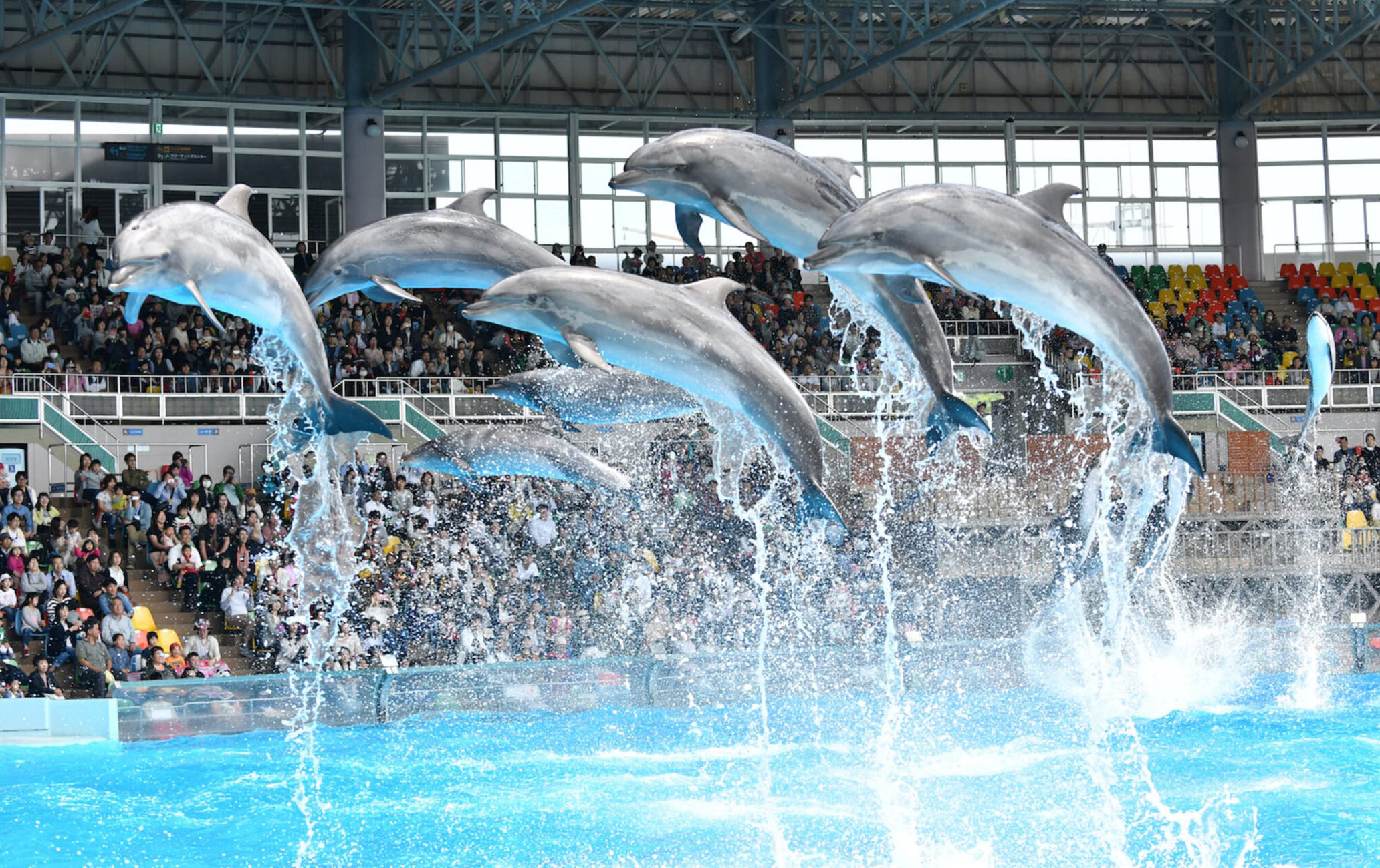 和歌山冒险大世界