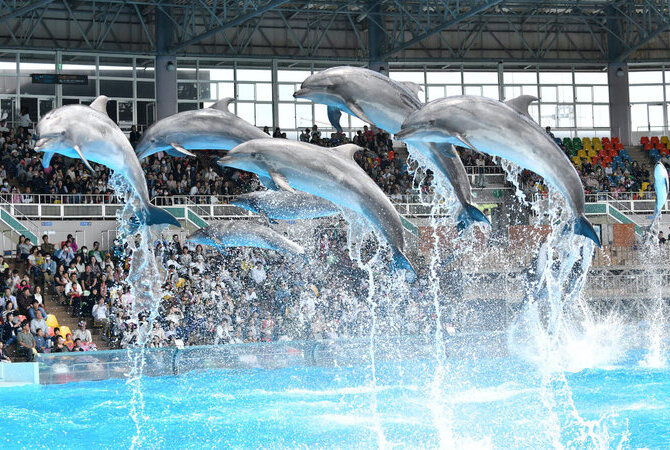 和歌山冒险大世界