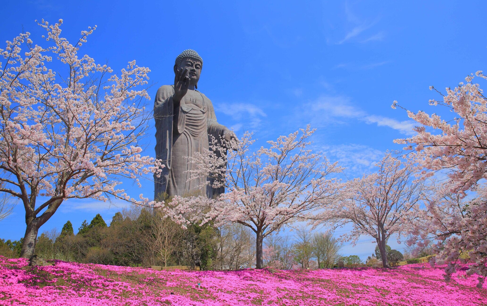 牛久大佛