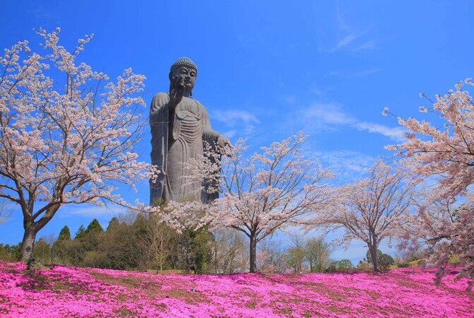 牛久大佛