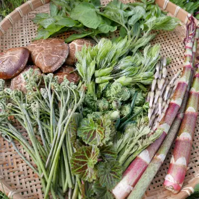 九州和中国地区的环保型住宿