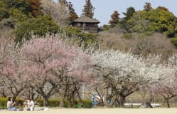 从大名庭园到屋顶公园：关东绿色空间的演进历程