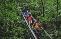 草木繁茂的冲绳植物园：全球生物多样性的展示基地与卫士