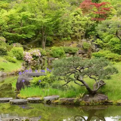 日本各地的日式庭园和禅意庭院
