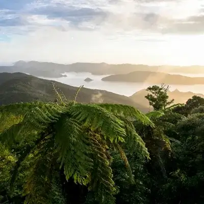 奄美大岛及德之岛——稀有动植物的栖息天堂