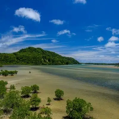 西表岛及山原——日本南部海域的生物多样性热点