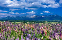 北海道四日游：感受季节之美