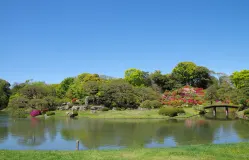 关东四日游：庭园探索之旅