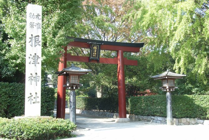 根津 神社 根津神社はツツジと千本鳥居が絶景 開花状況や見頃も解説 東京 文京区 東京チカーバ 東京と近場の観光 散歩スポットを巡るブログ Stg Origin Aegpresents Com