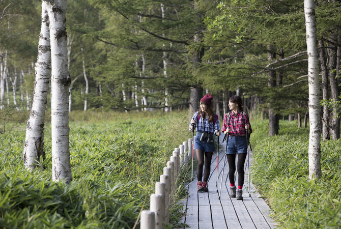 森林浴，起源于日本的特色活动　　　　　　　　　　　　　　　　　　　　静坐树下，释放正念，蕴养心神