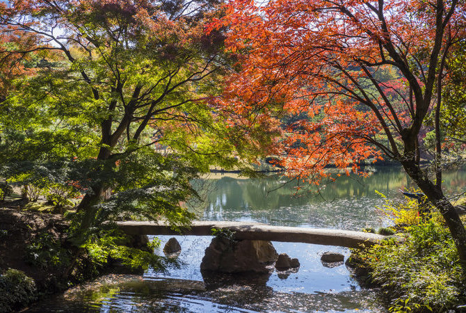 体验文化，探索独一无二的日式美学