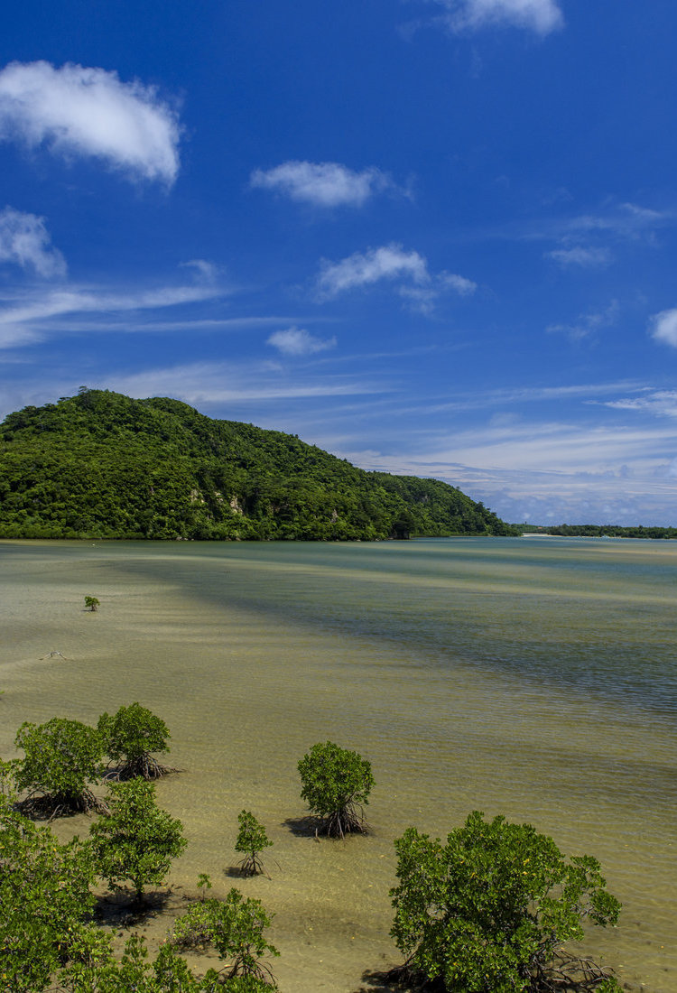 西表岛及山原——日本南部海域的生物多样性热点