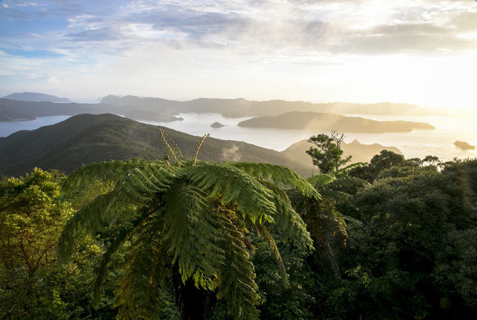 奄美大岛及德之岛——稀有动植物的栖息天堂