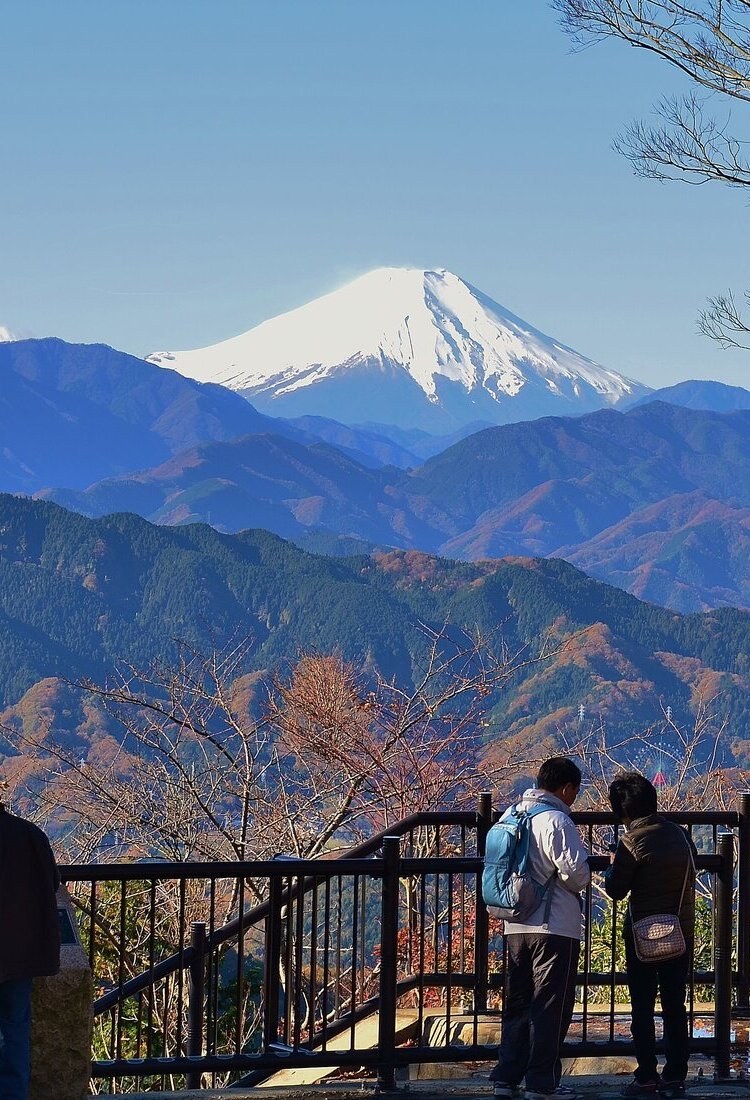 距离繁华市中心不到1小时的圣地，高尾山的深度游览攻略与超值车票 ［特別企划］