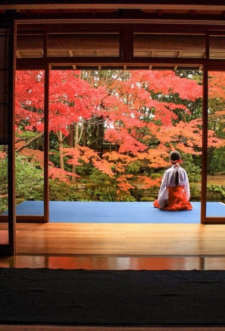 旅行作家纪行！ 探寻自然与日本文化和谐交融的山口秘境之旅［特別企划］
