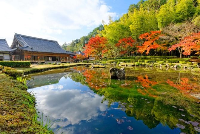 避开喧嚣享古韵——揭开日本“小京都”的魅力面纱　　　　　　　　　　　　　　　　　　　　　　　　　　　　探访鲜为人知的小众城镇，领略传统日本风情