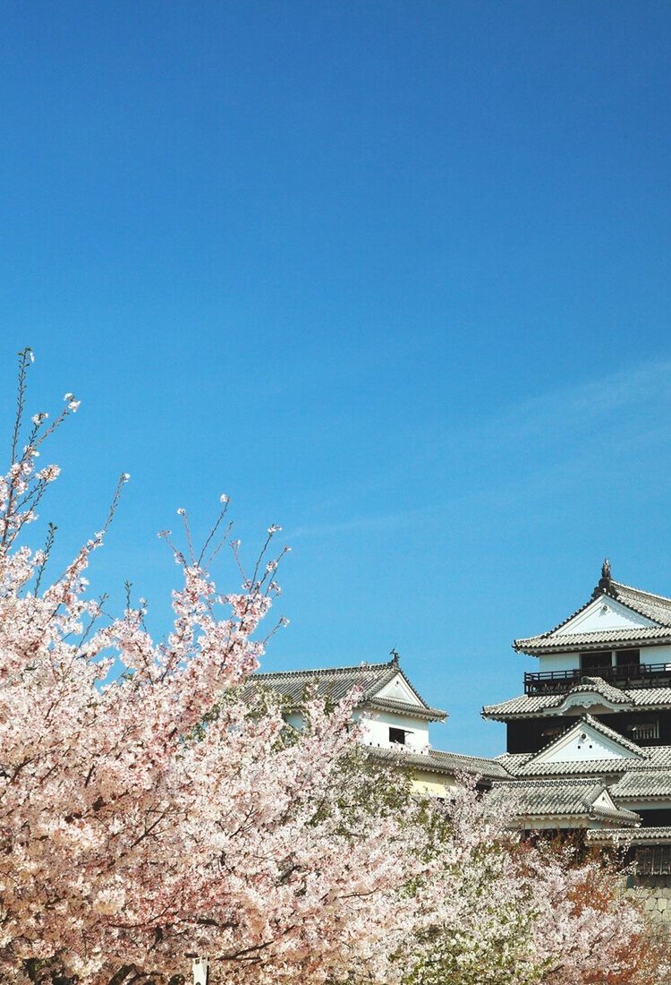 松山探秘:现代复古设计邂逅艺术与历史 探访纯正的日本古城,欣赏东西方艺术瑰宝