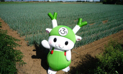 造访日本代表性的温泉胜地——箱根时，还可以顺便同去的两个旅游景点［特别企划］  