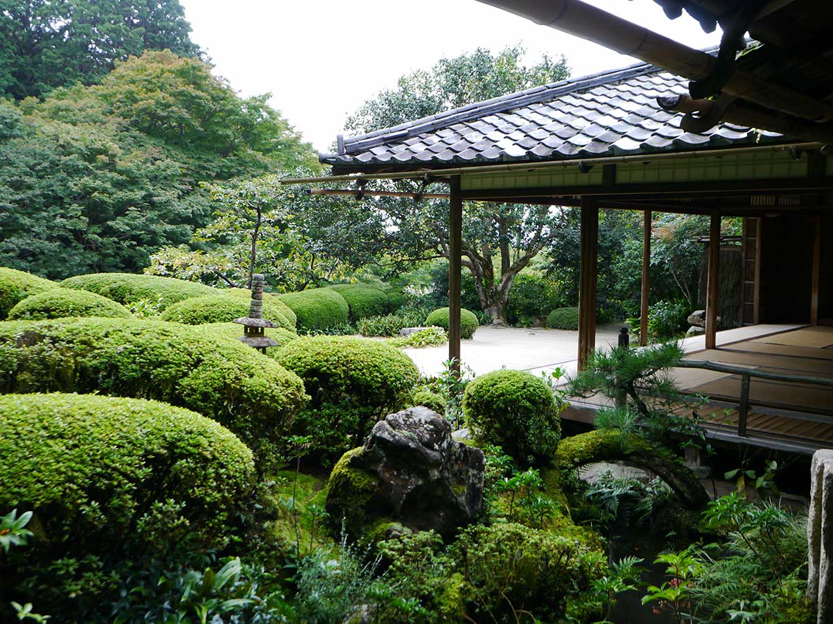 爸妈再也不用担心我看不懂京都的庭院啦！